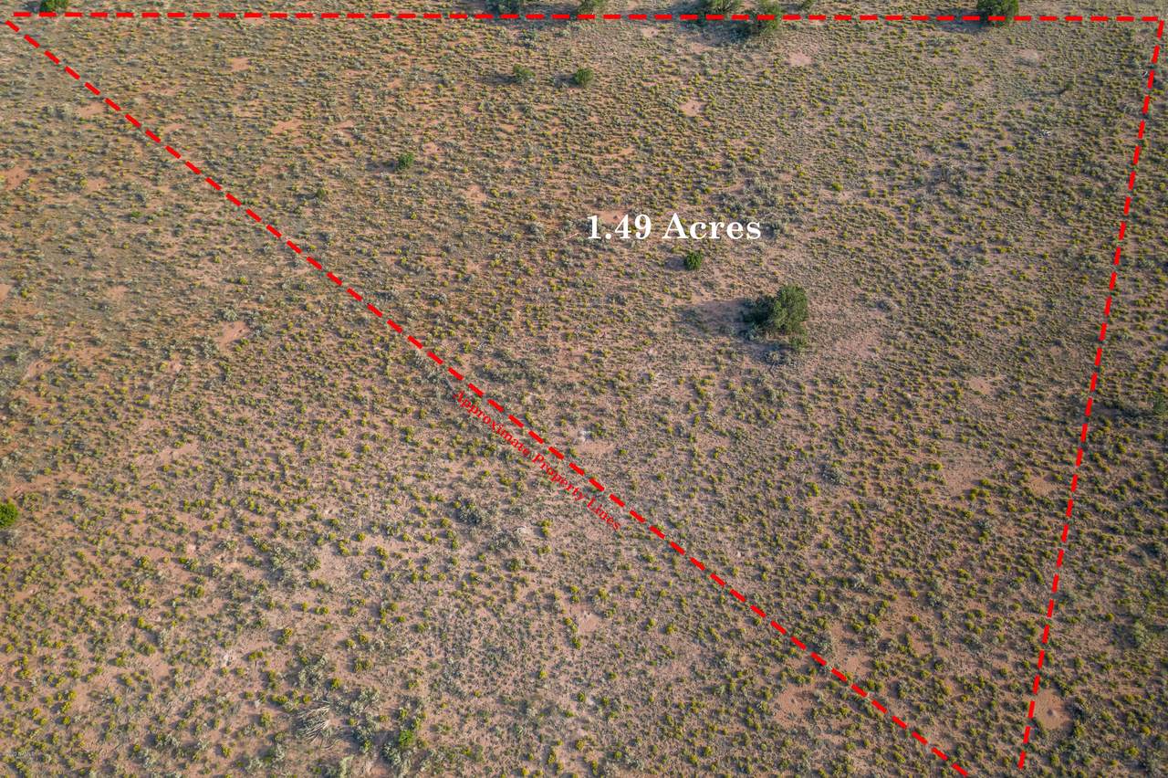 779 San Mateo Road - Photo 1