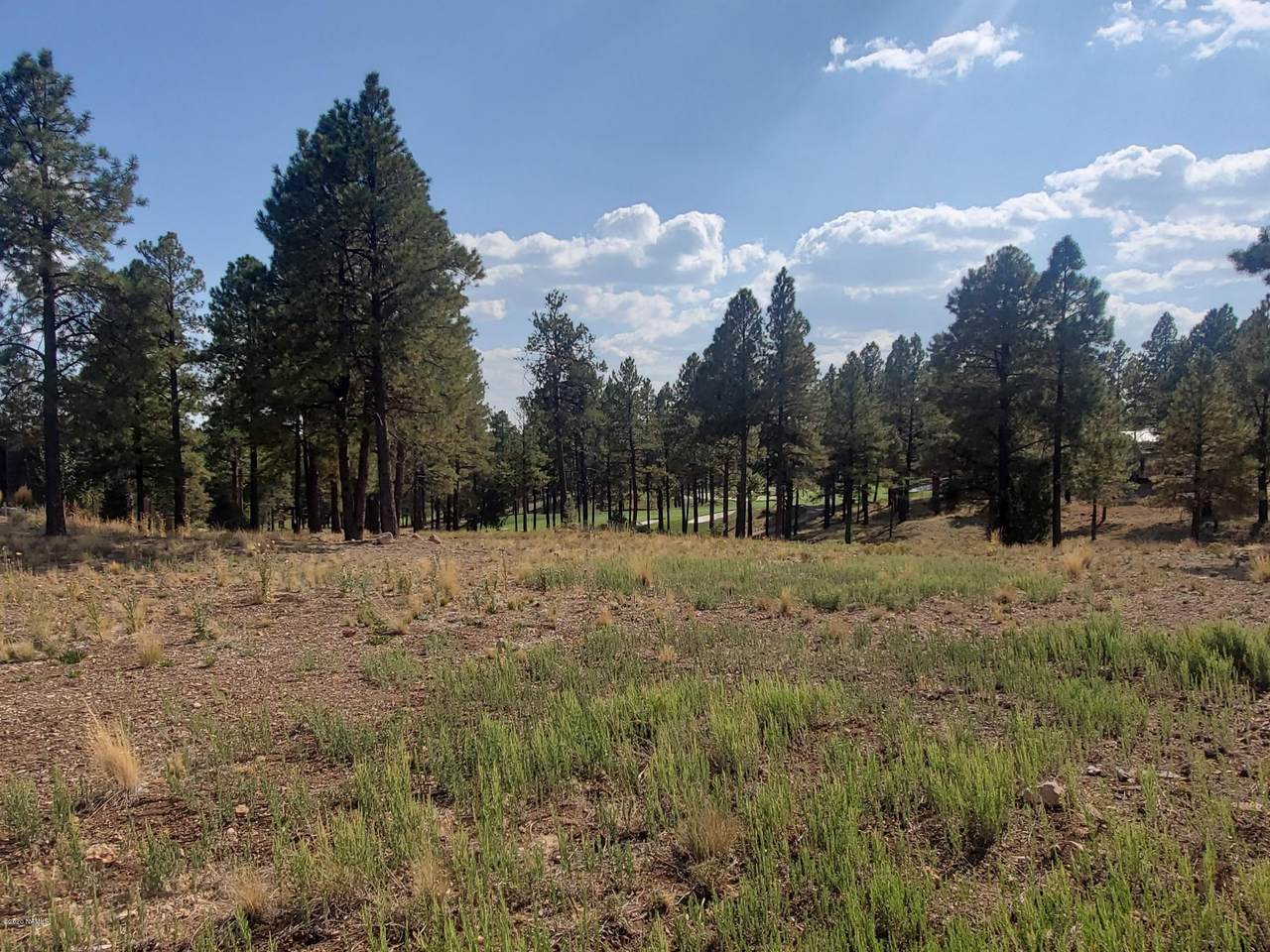 3879 Clubhouse Circle - Photo 1