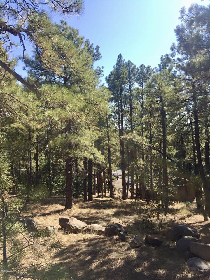 65 Campfire Trail - Photo 1