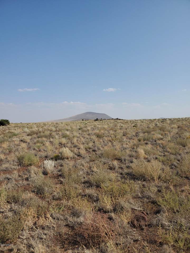 30342033 Alpine Ranches - Photo 1