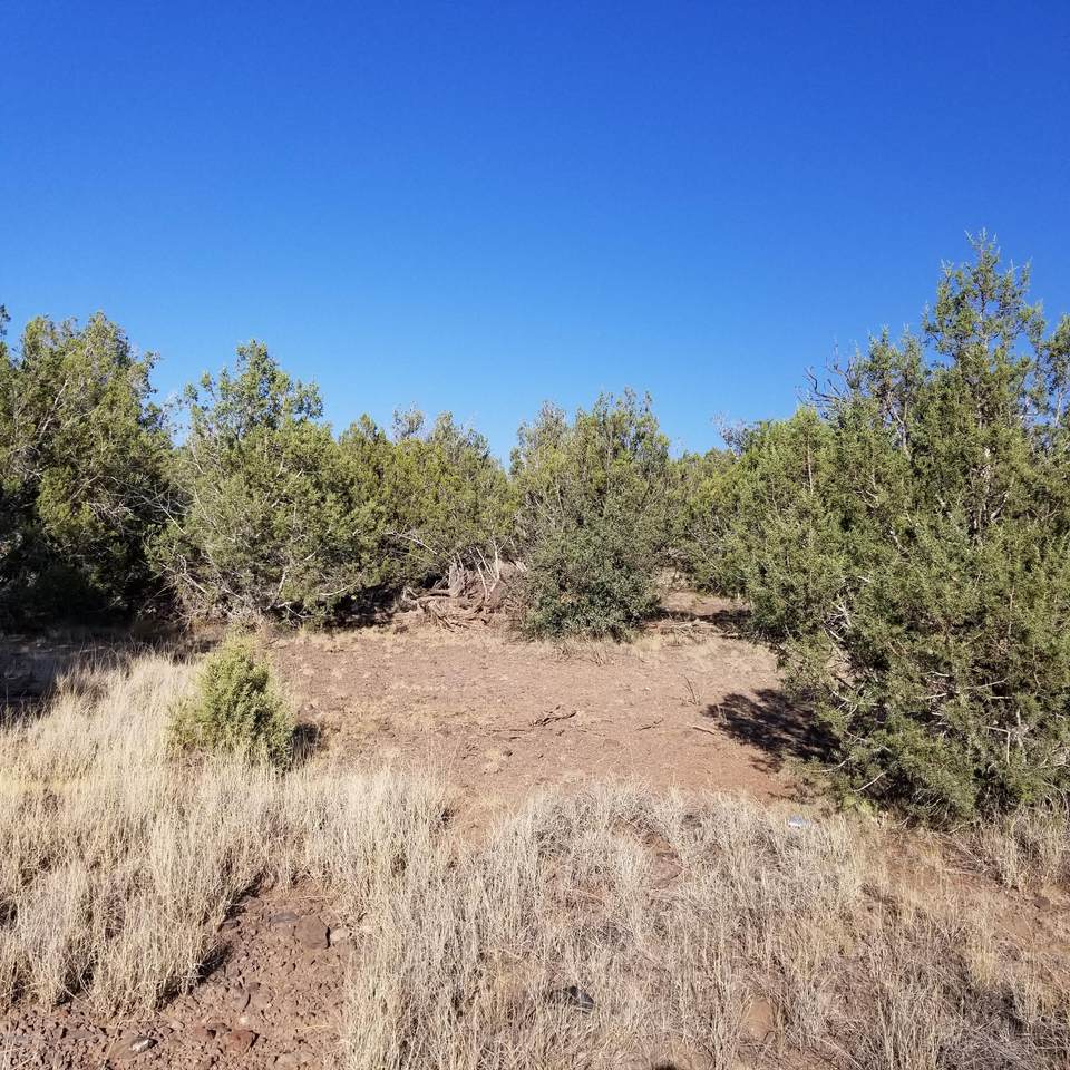 3831 Lore Way - Photo 1