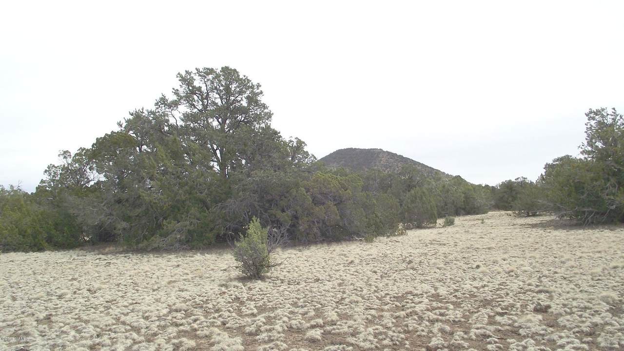 10741 Dry Gulch Trail - Photo 1