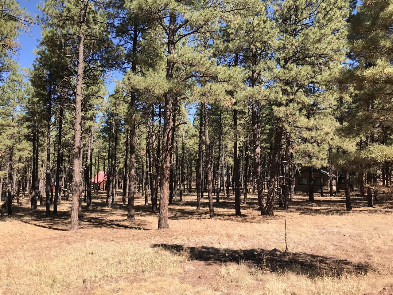 7549 Long Bow Drive - Photo 1