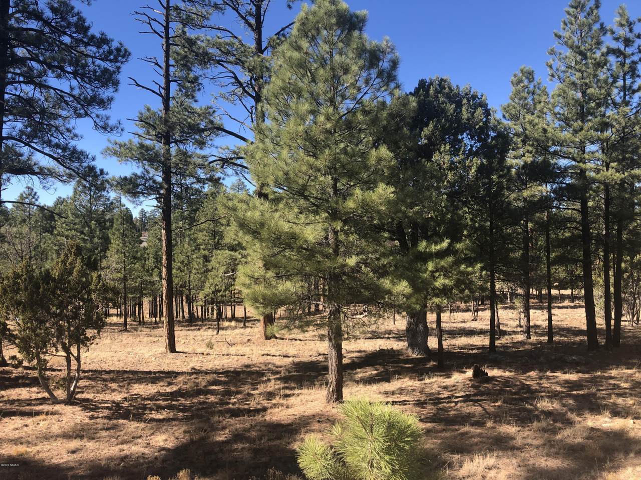 2538 Katies Way - Photo 1