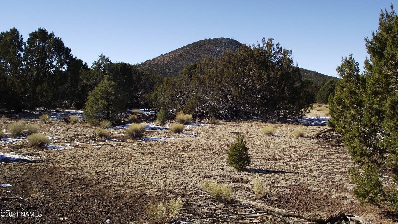 2146 Clear Point Way - Photo 1