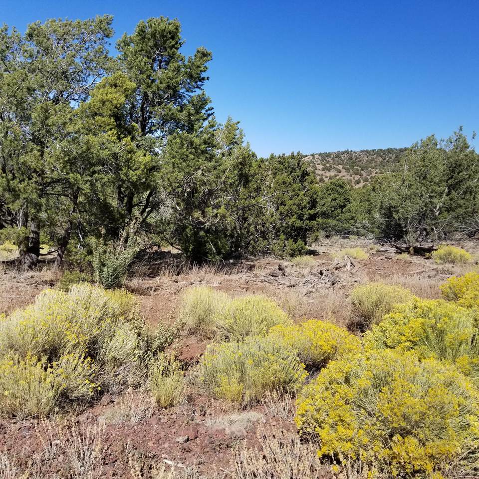 2887 Overlook Drive - Photo 1