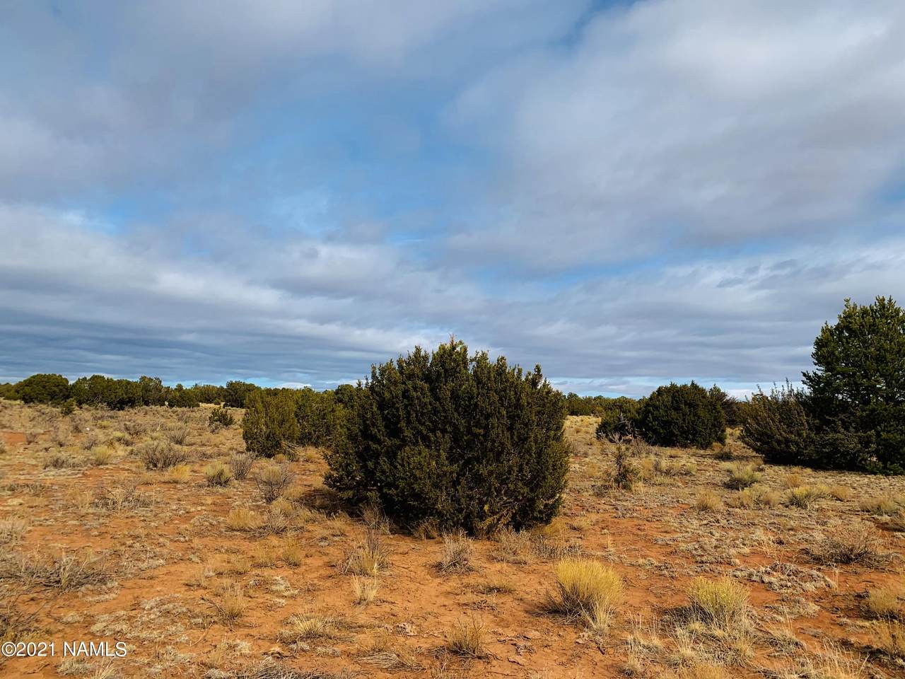 4207 Evergreen Lane - Photo 1
