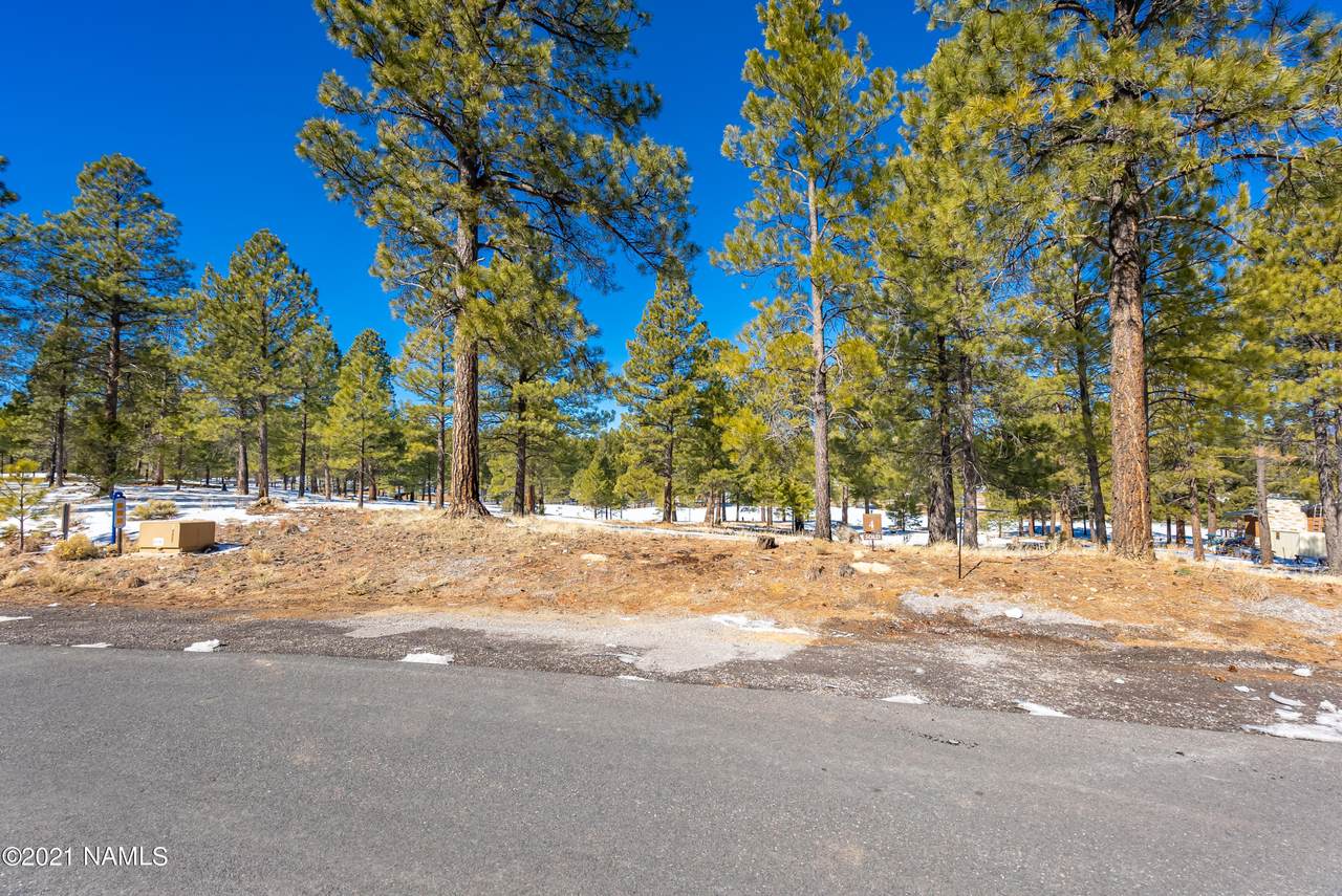 1600 Castle Hills Drive - Photo 1