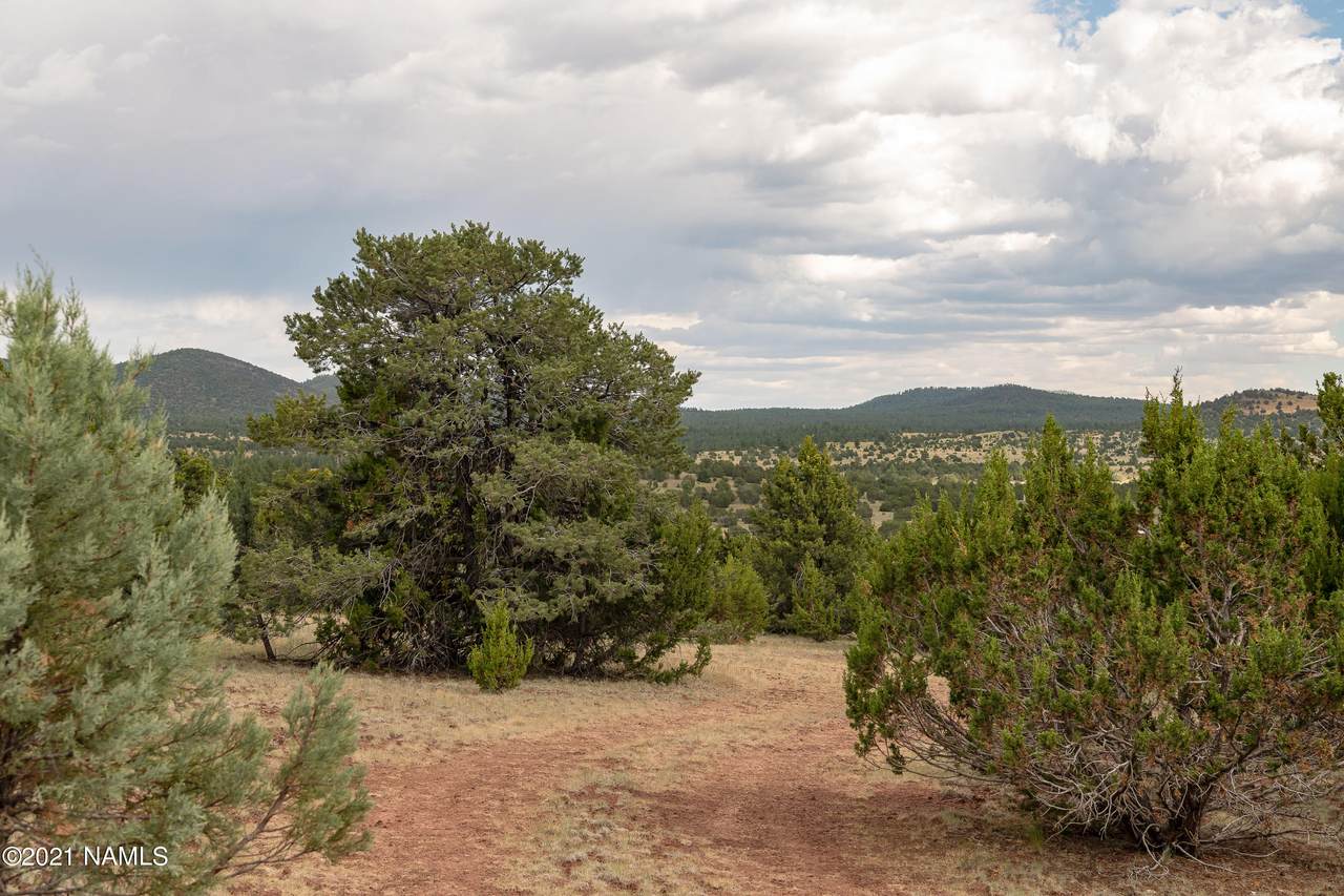 5947 Horse Canyon Trail - Photo 1
