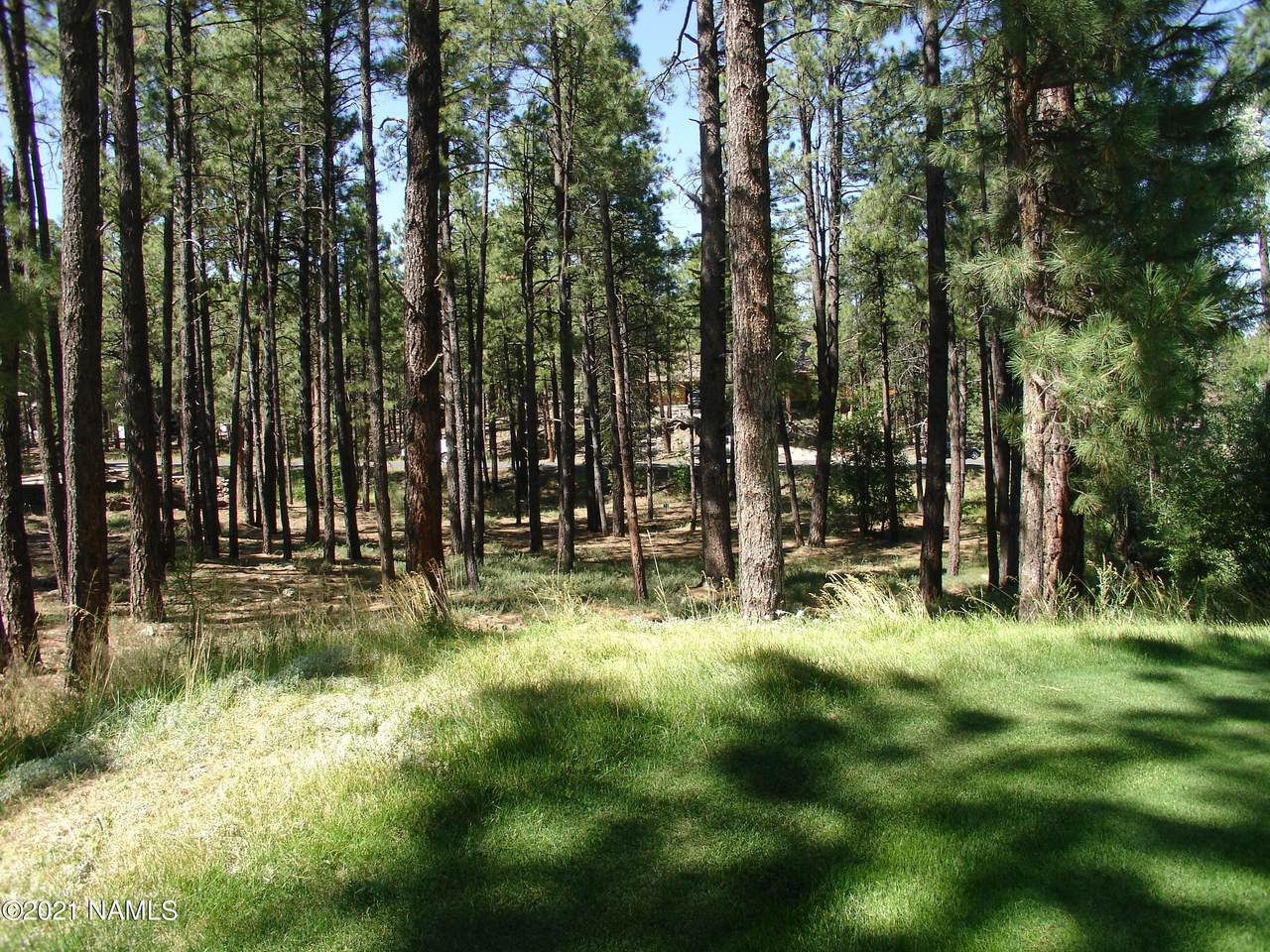 3764 Griffiths Spring - Photo 1