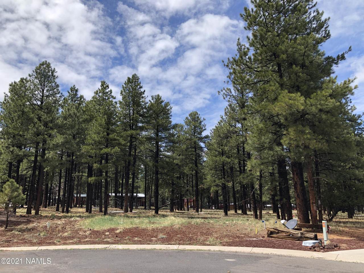 3222 Grey Hawk - Photo 1