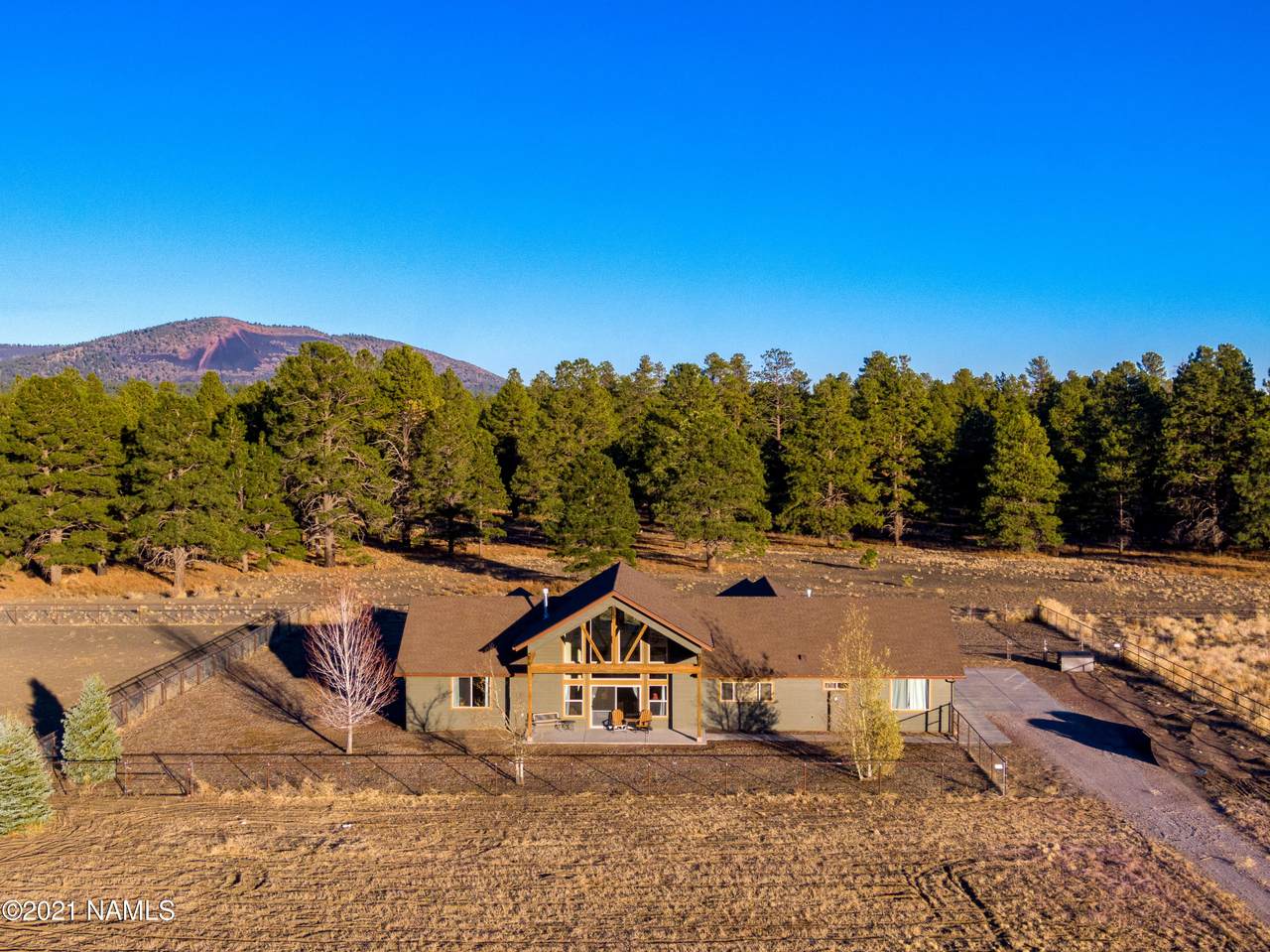 11641 Onika Lane - Photo 1