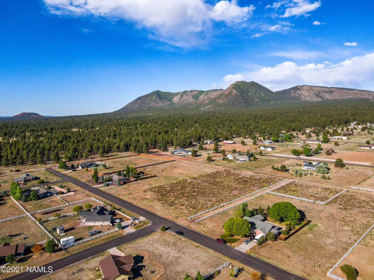 10890 Margaret Way - Photo 1
