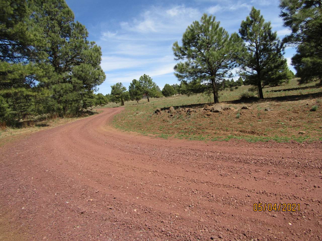 312 Forest Service 3341 Road - Photo 1