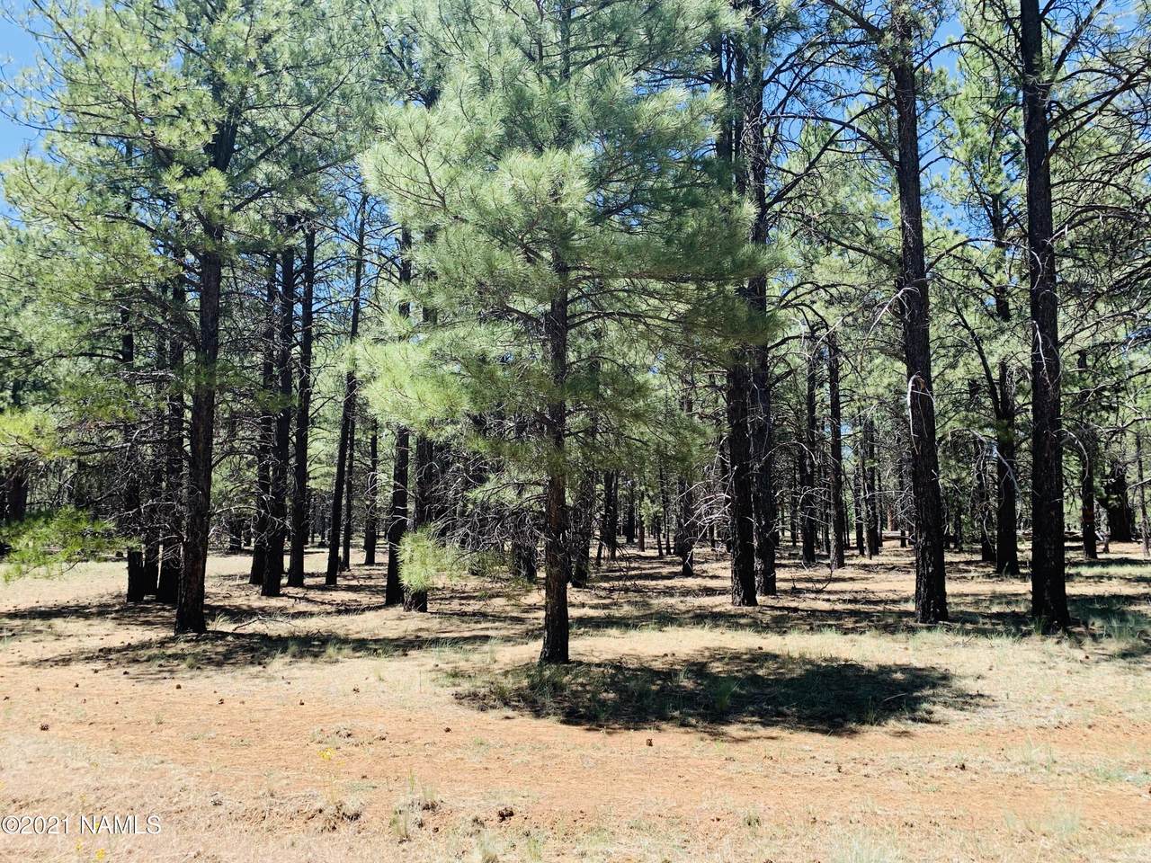 17440 Forest Service 146 W Road - Photo 1