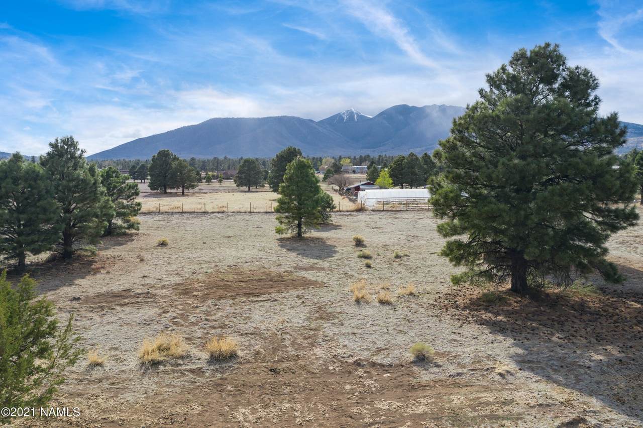 12194 Daniel Way - Photo 1