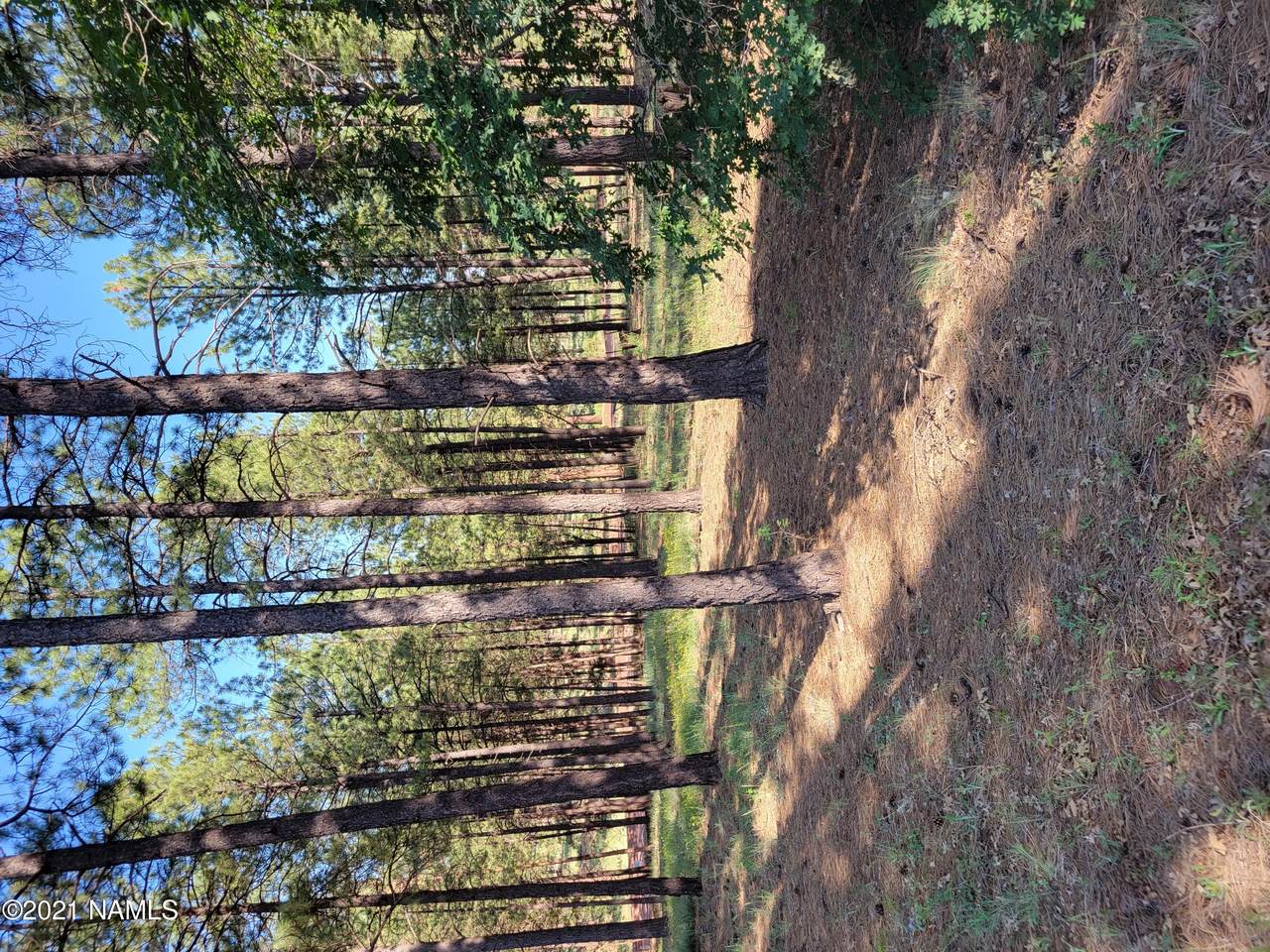 4795 Flagstaff Ranch Road - Photo 1