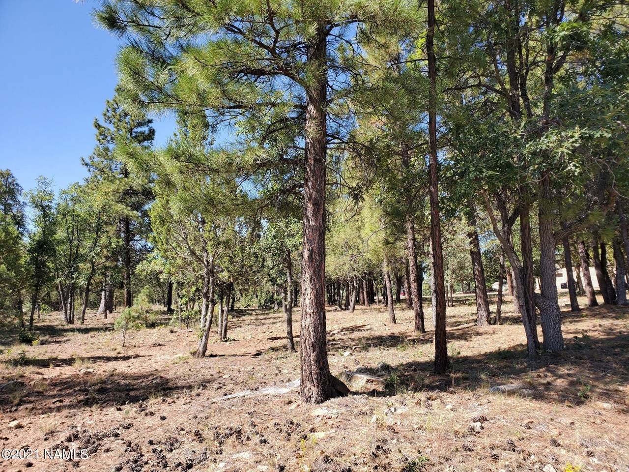 4199 Starlight Drive - Photo 1