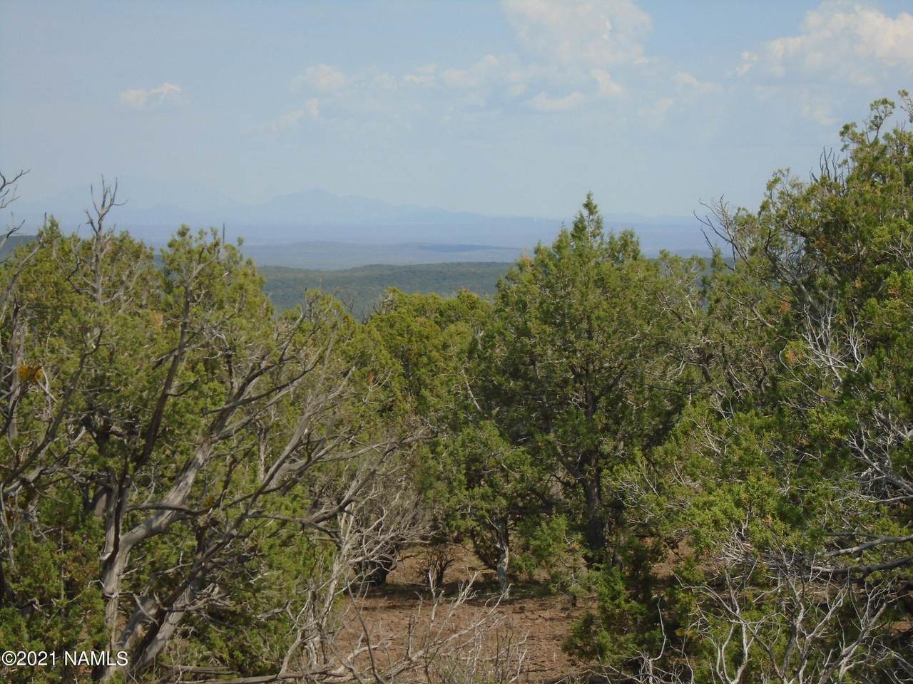 404 Westwood Ranch Lot 404 - Photo 1