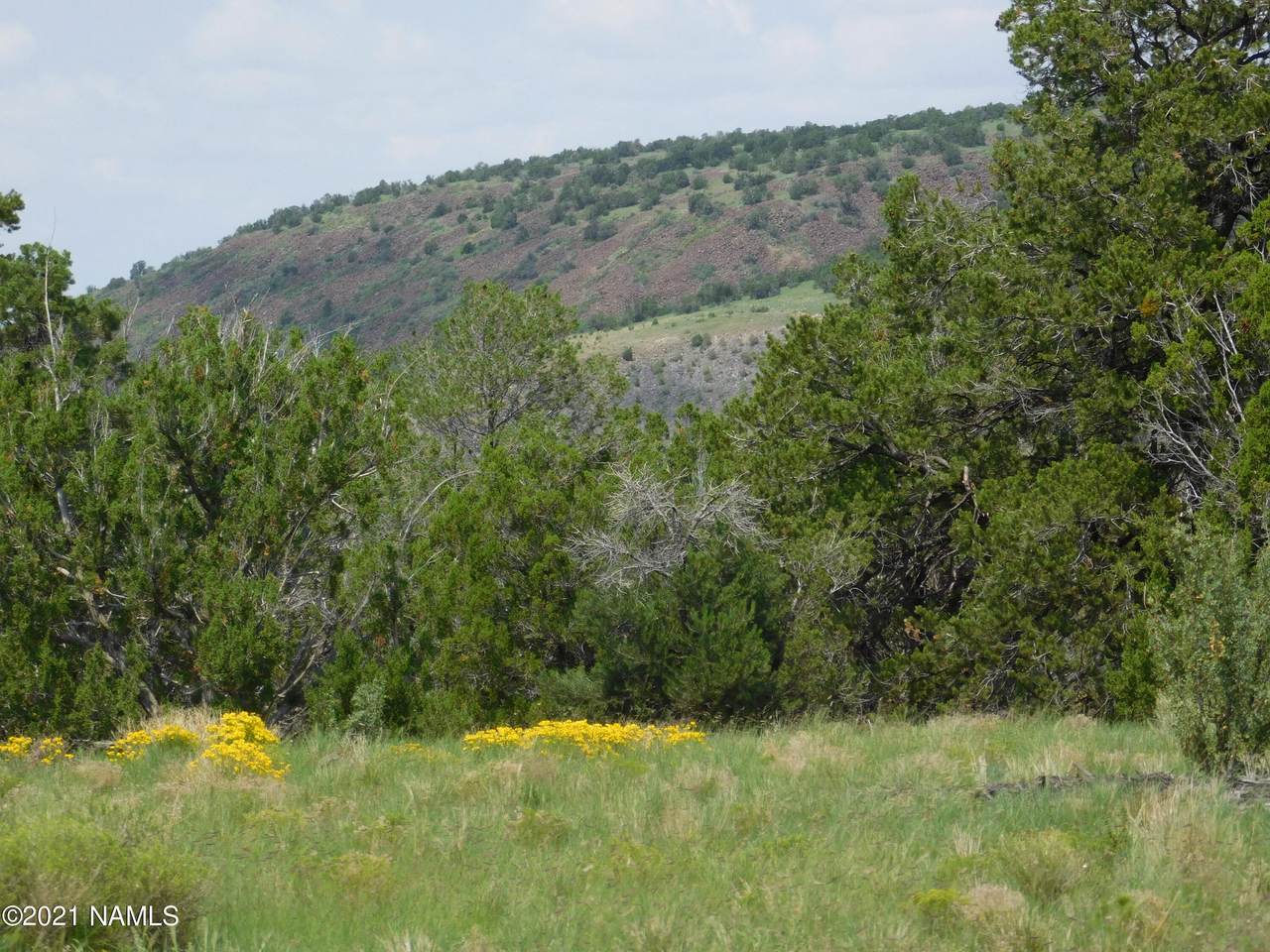 1319 Canvasback Trail - Photo 1