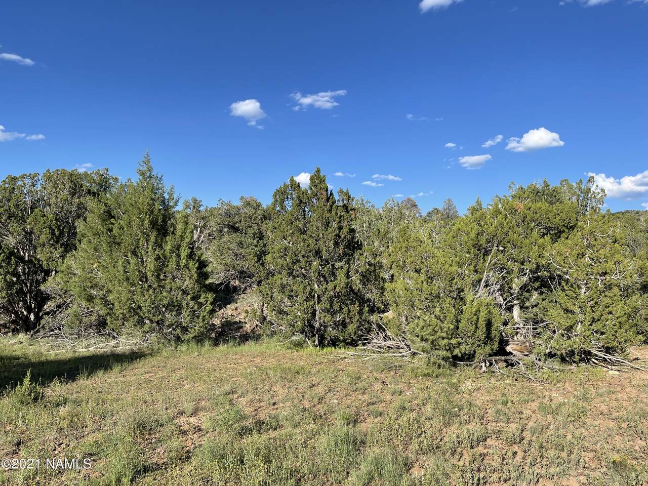 522 Deerlick Trail - Photo 1