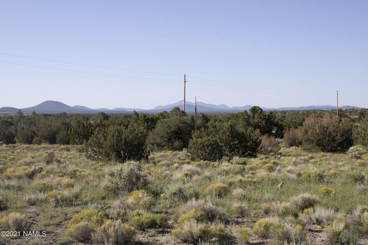 2041 Critter Pass - Photo 1