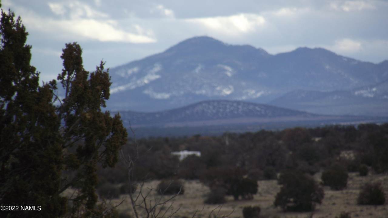 5406 Sun Dog Trail - Photo 1