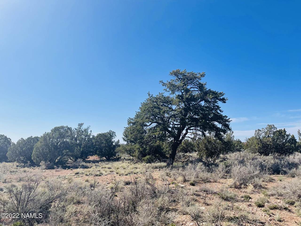 5132 Alta Villa Road - Photo 1