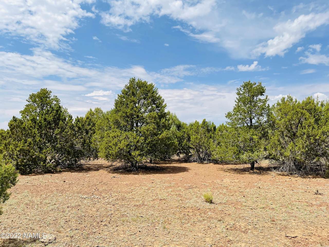 10524 Falcon Ridge Rd Lot B - Photo 1