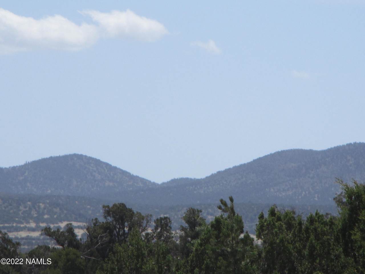 7774 Lasso Loop - Photo 1