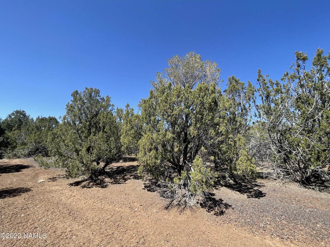 1227 Forest Service 736 Road - Photo 1