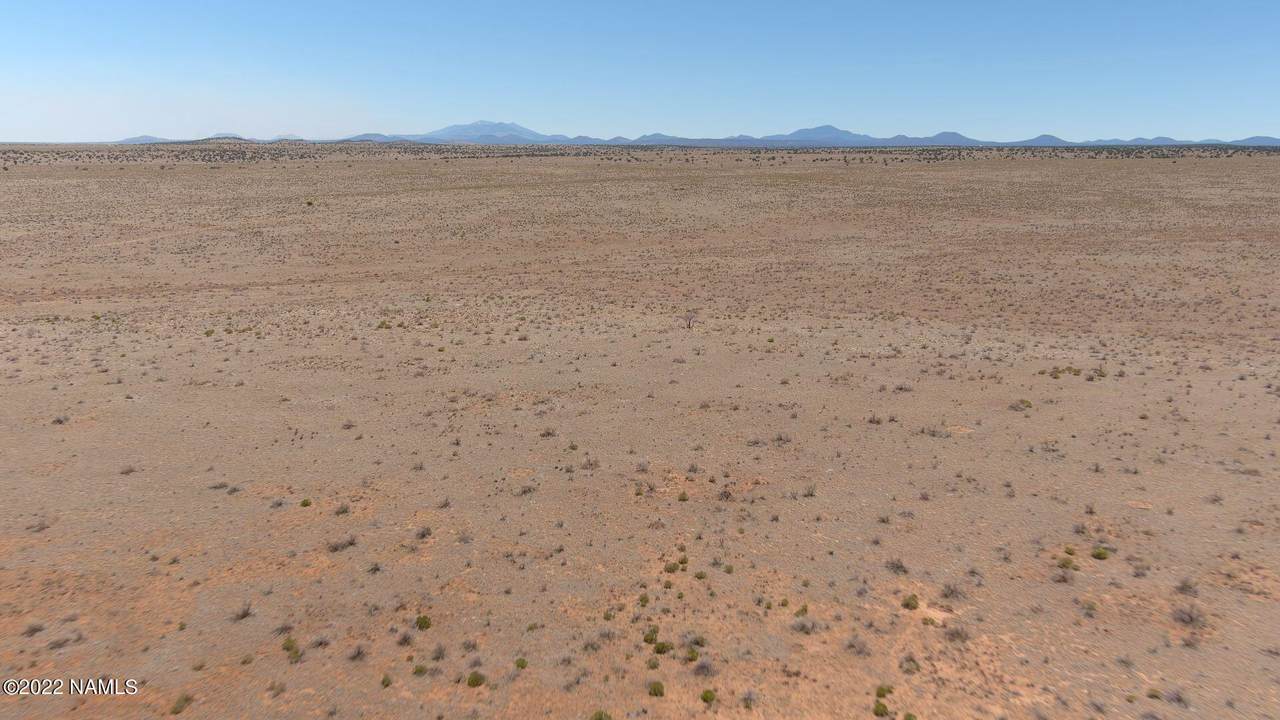 3750 Prickly Pear Wash - Photo 1