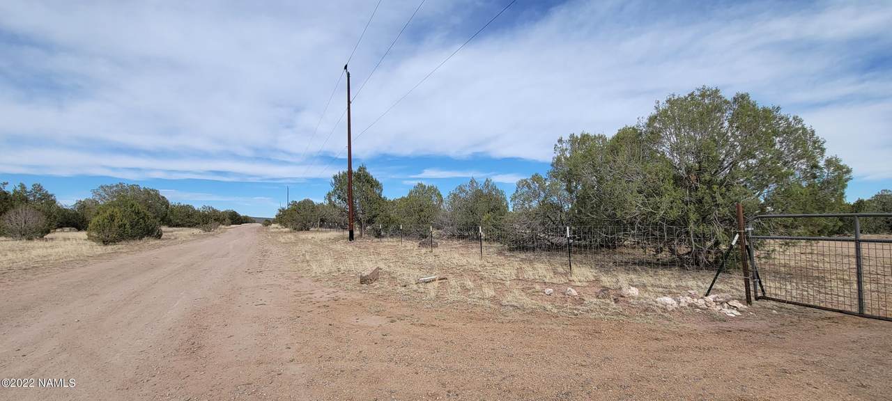 2122 Cienega Drive - Photo 1