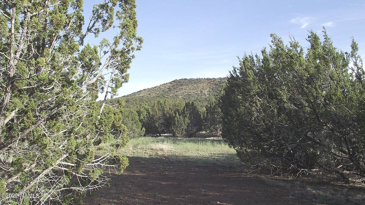 13378 Bowder Road - Photo 1