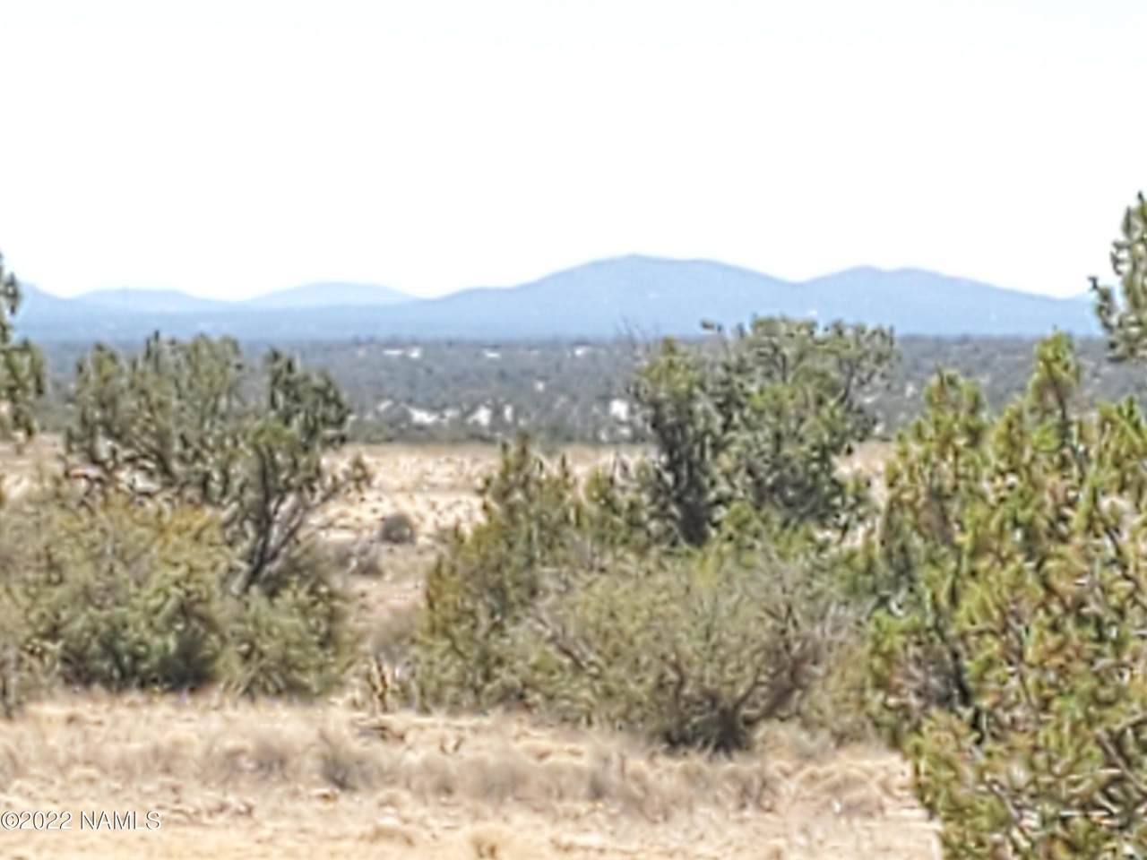 9457 Bright Sky Trail - Photo 1