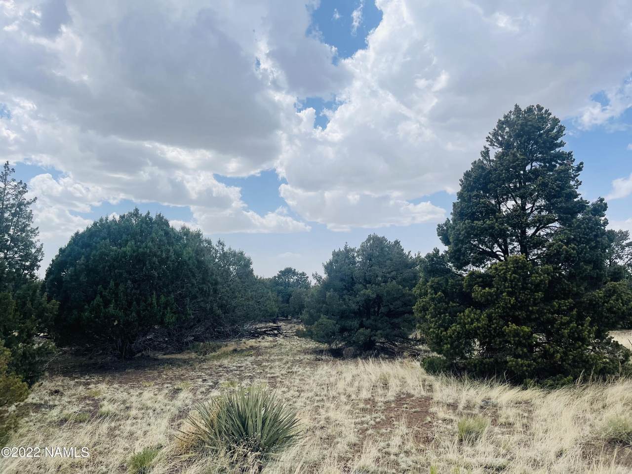 7382 Apache Avenue - Photo 1