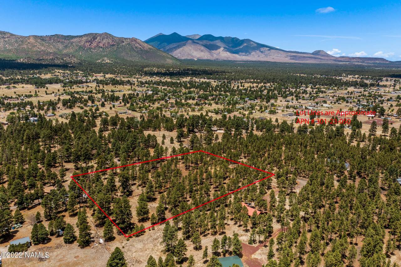 6205 Dove Trail - Photo 1