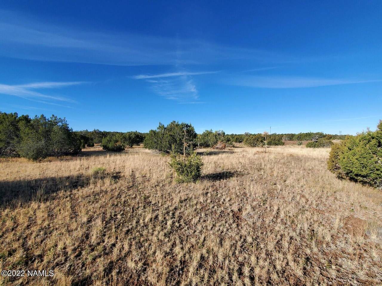 12935 Rustler Lot329 - Photo 1