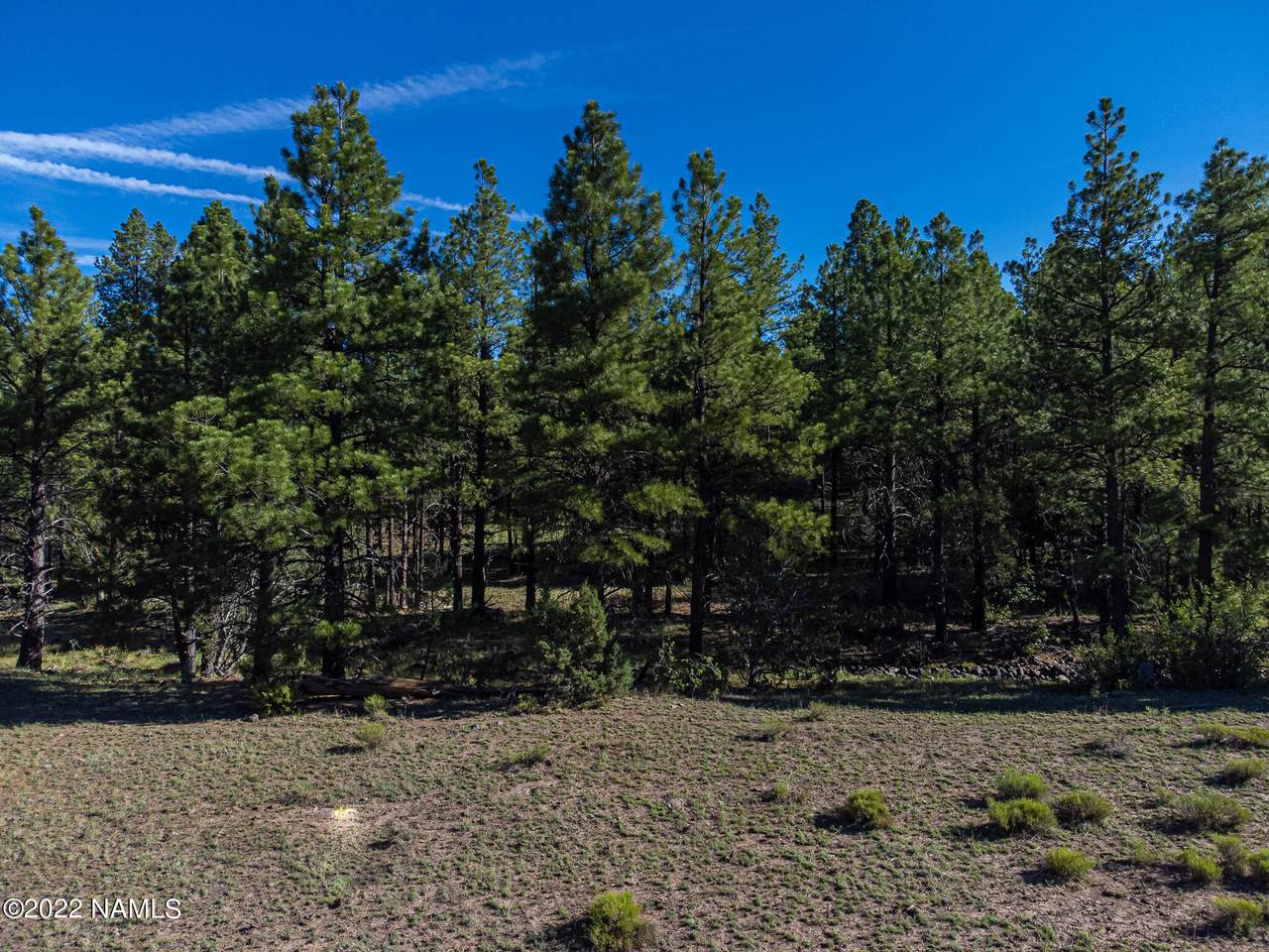 3 Pine Springs Road - Photo 1
