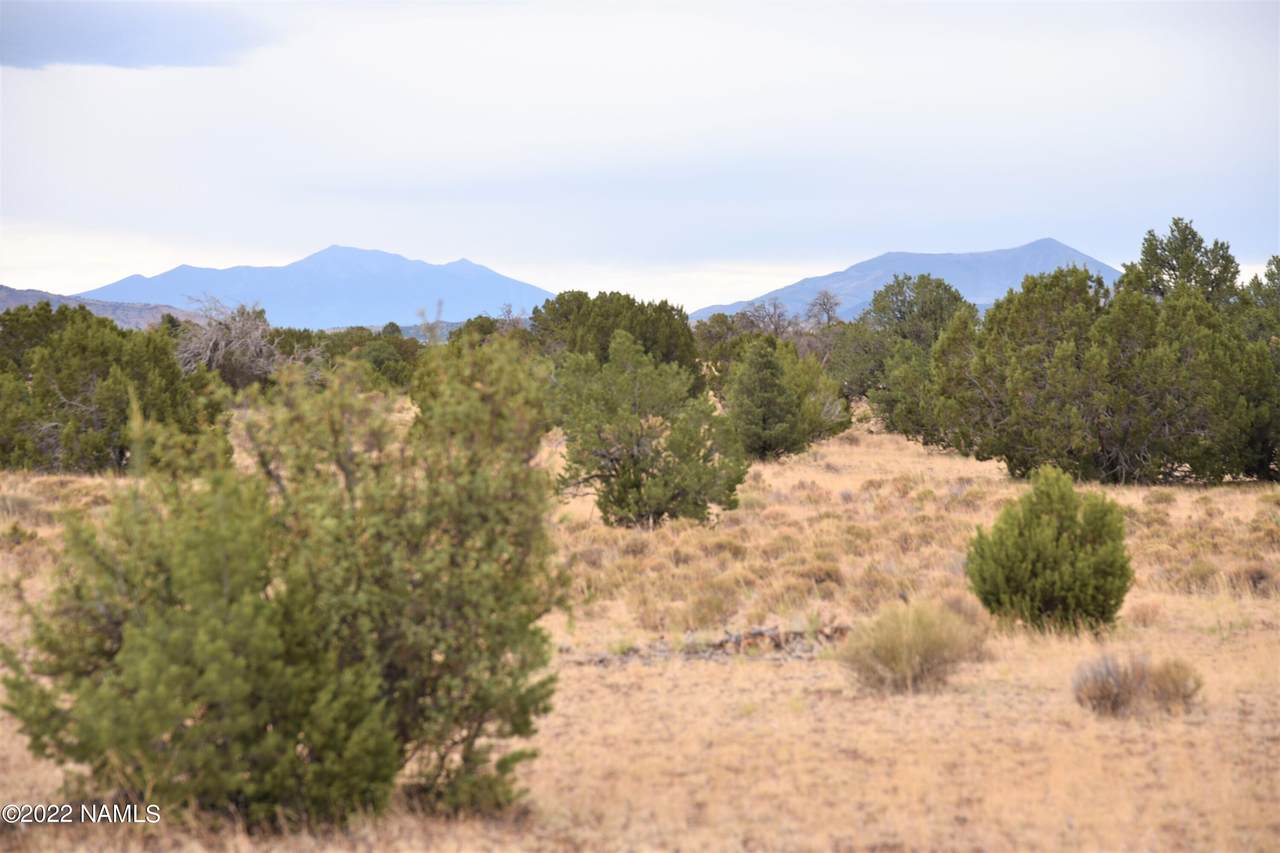 10548 Water Tank Circle - Photo 1