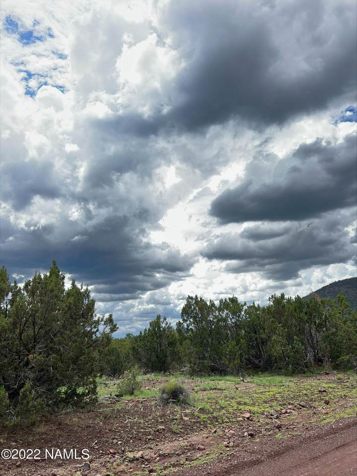 2064 New Moon Way - Photo 1