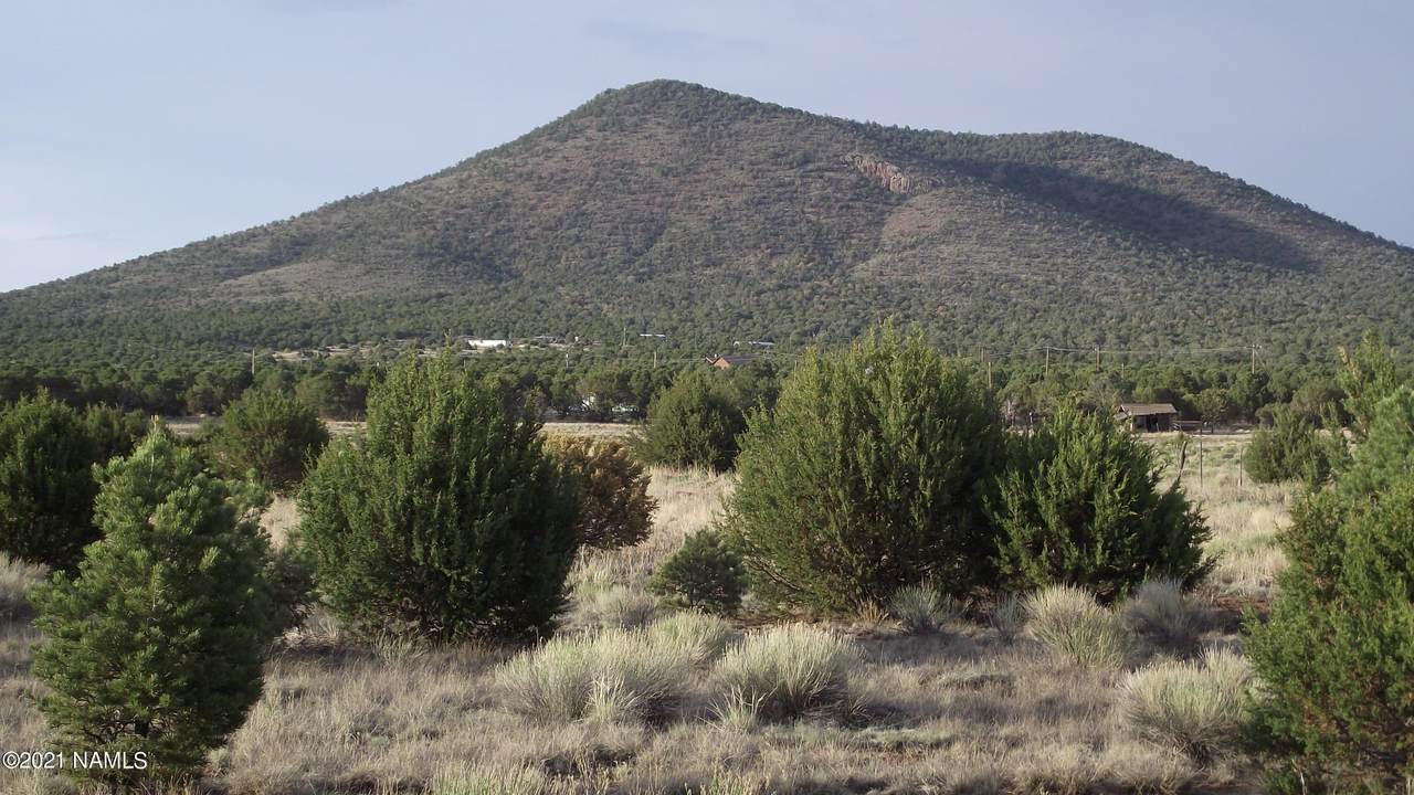 8186 Cassity Trail - Photo 1