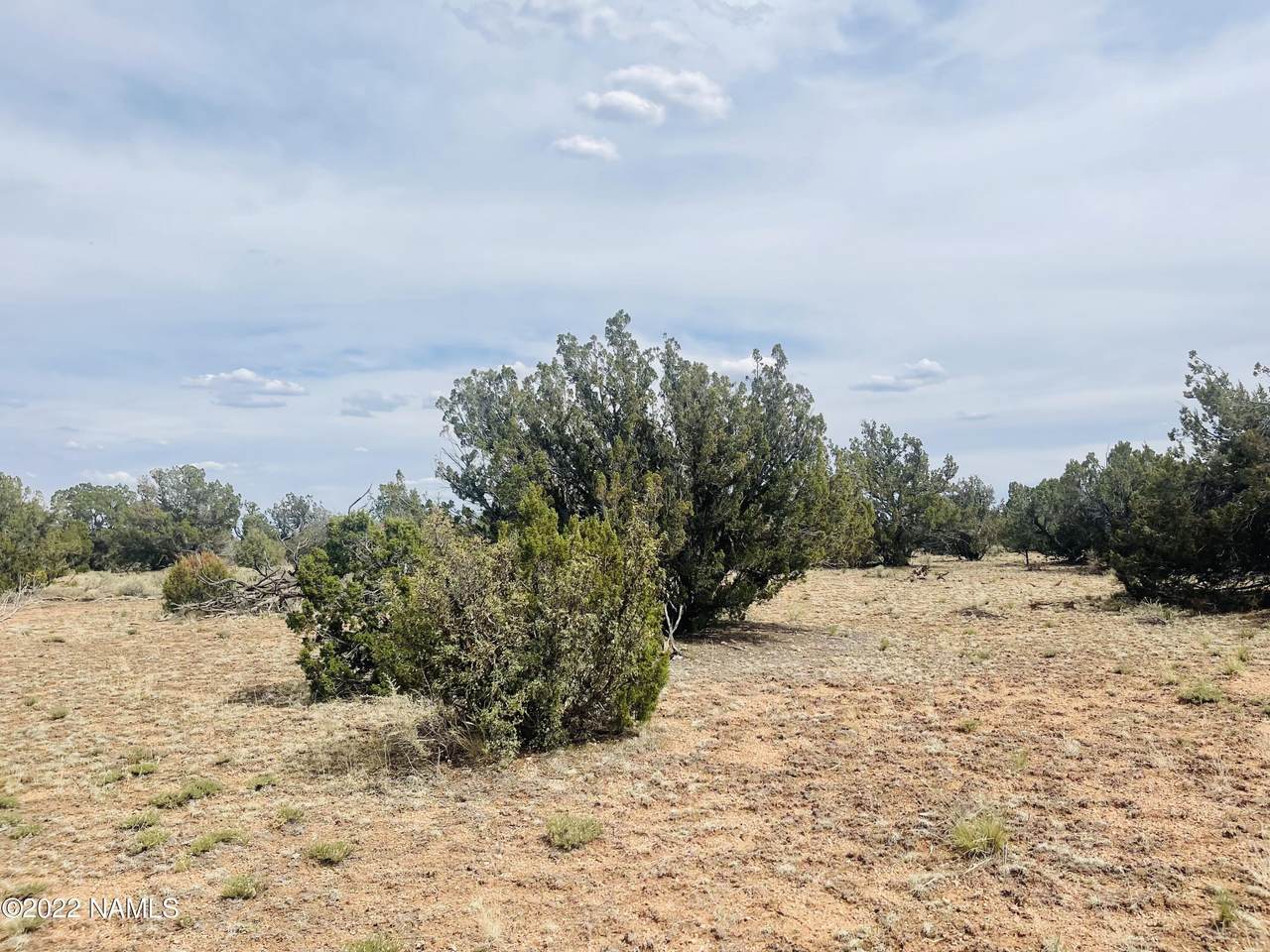 878 Avondale Road - Photo 1