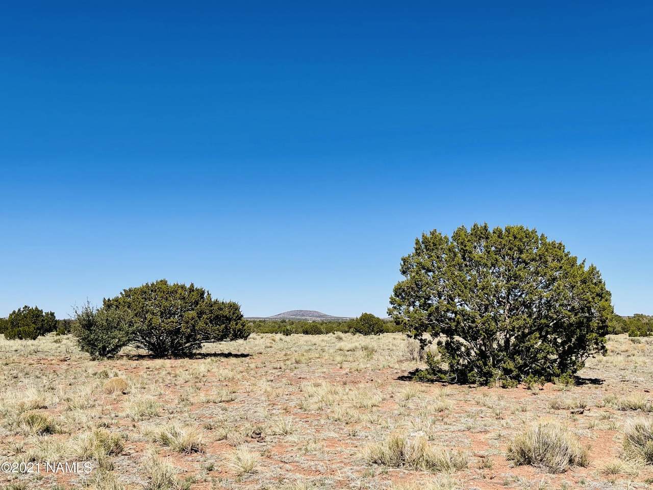 6868 Lasso Loop - Photo 1