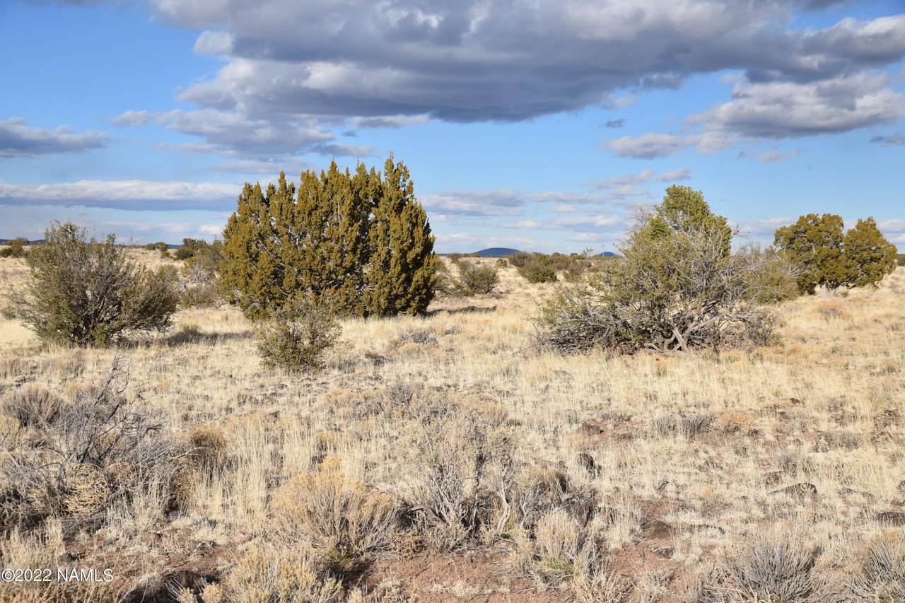 7563 Lariat Road - Photo 1