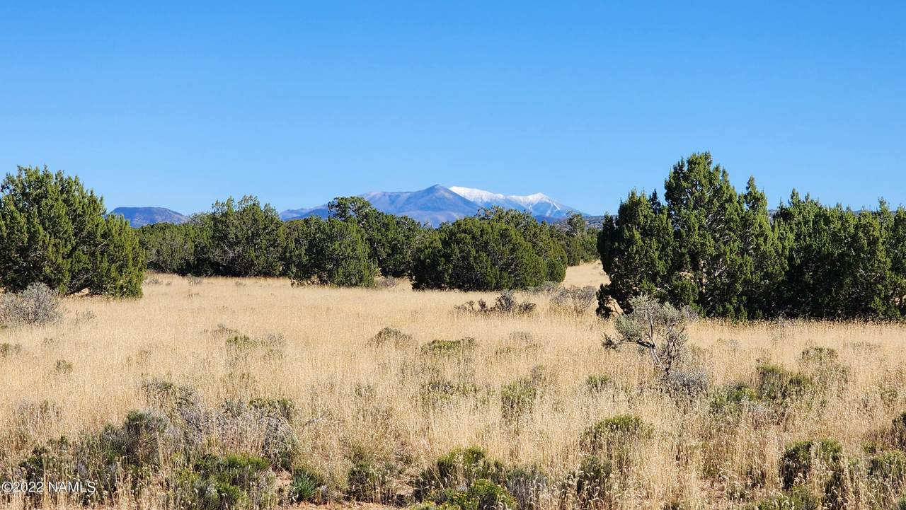 3267 Clove Hitch Road - Photo 1