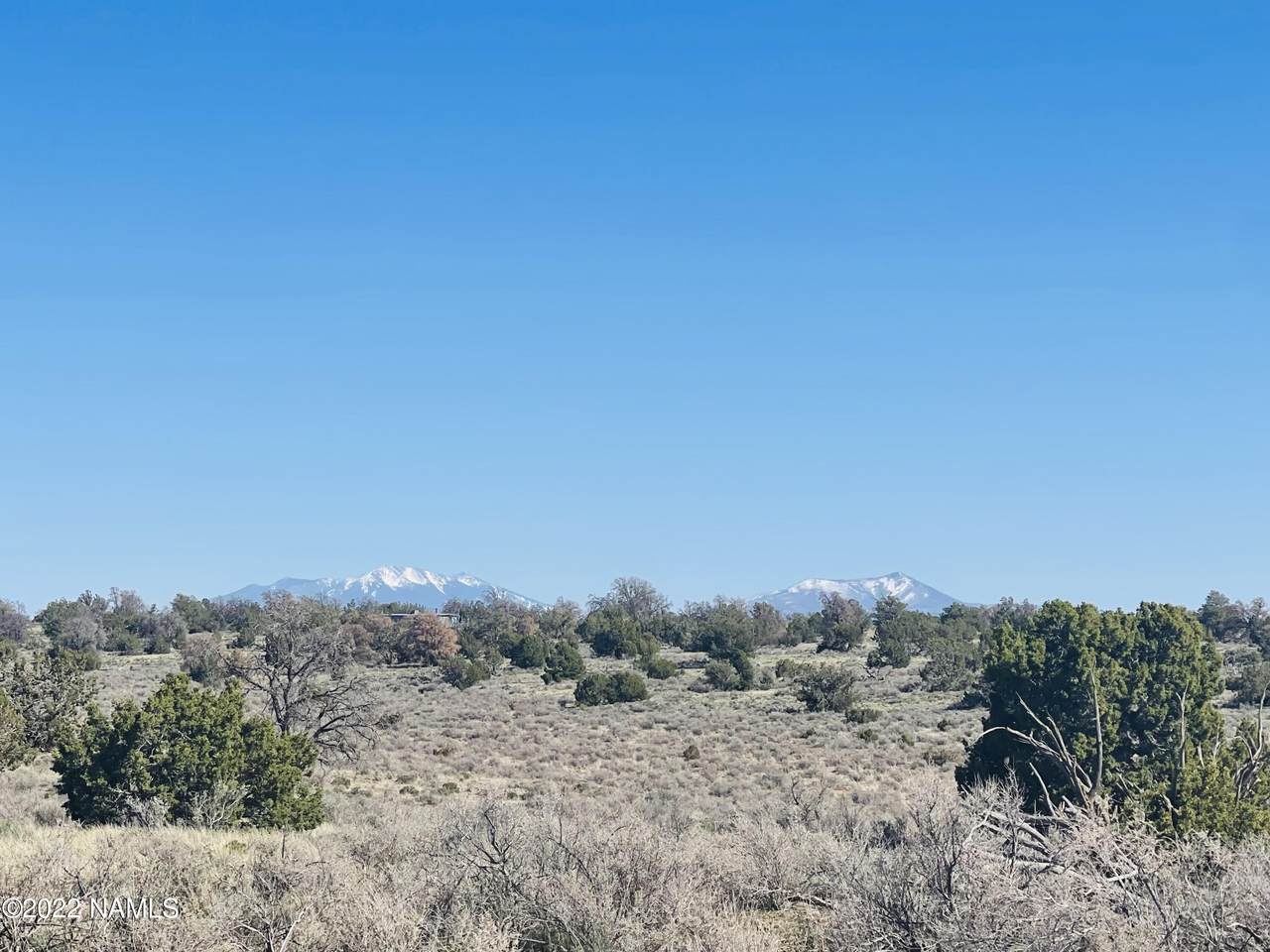 5614 Alta Villa Road - Photo 1