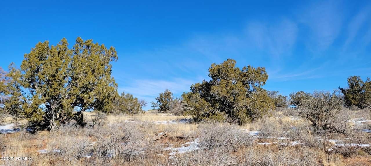 2619 Woodland Ranch Road - Photo 1