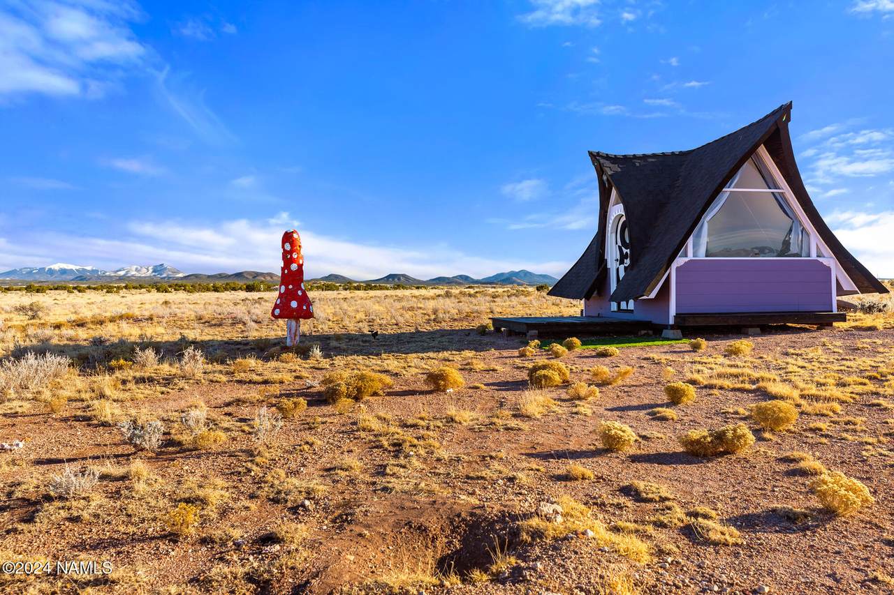 3408 Laguna Drive - Photo 1