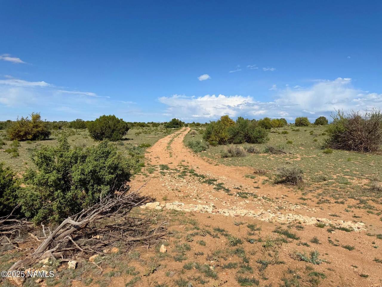 8809 Northstar Road - Photo 1